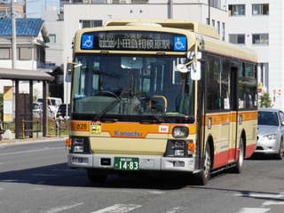 kanachu20250404_1.jpg