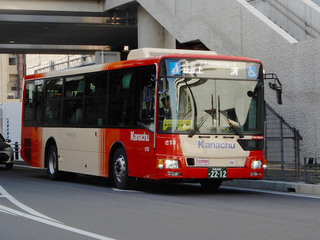 kanachu20250404_2.jpg