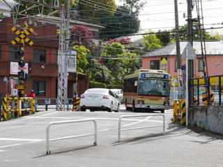 kanachu20250516_2.jpg