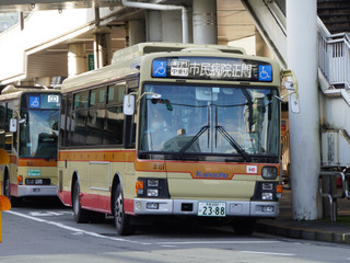 kanachu20250516_5.jpg