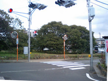 m3336honmachida-2006_011.jpg