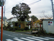 m3336honmachida-2006_09.jpg