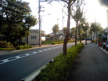 m3336honmachida-2006_24.jpg