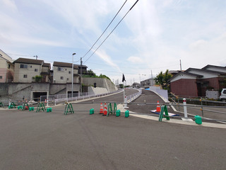 m3441-20250608_10.jpg