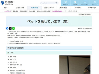 neko20250425_3.jpg