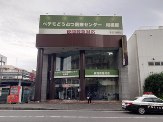petemo20250525_2.jpg