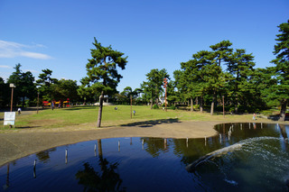 sagamiono20250614_1.jpg