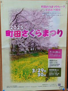 sakura20250328.jpg