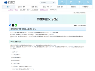 saru20250509_3.png