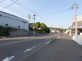 shibamizokaido20250506_2.jpg