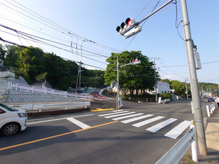 shibamizokaido20250506_3.jpg