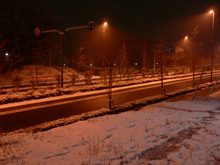 snow20090304_1.jpg