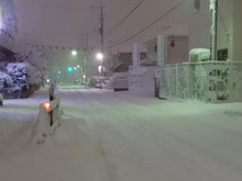 snow20180122_3.jpg