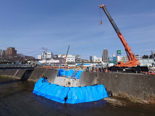 tsurukawa20250314_15.jpg