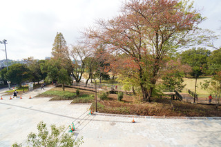 tsuruma-park20191111.jpg