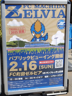 zelvia20250214_13.jpg
